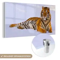 MuchoWow - Glasschilderij - Acrylglas - Tijger - Sneeuw - Winter - Dieren - Muurdecoratie - Schilderij glas - 40x20 cm - Foto op glas - Wanddecoratie