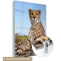 MuchoWow Glasschilderij - Acrylglas - Cheetah - Boomstam - Natuur - Muurdecoratie - 30x40 cm - Wanddecoratie - Foto op glas - Schilderij glas