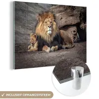 MuchoWow Glasschilderij 30x20 cm - Schilderij acrylglas - Dieren - Wild - Kleuren - Foto op glas - Schilderijen