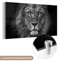 MuchoWow Glasschilderij leeuw - Zwart - Wit - Dieren - Foto op glas - Wanddecoratie glas - 40x20 cm - Woondecoratie - Schilderij glas - Muurdecoratie woonkamer