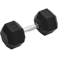 vidaXL Halters 22,5 kg gietijzer