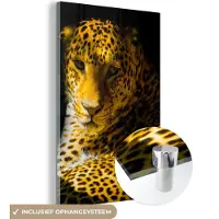 MuchoWow Glasschilderij - Luipaard - Goud - Dieren - Portret - Zwart - 40x60 cm - Schilderij glas - Slaapkamer decoratie