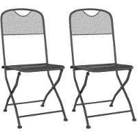 vidaXL Klapstoelen, 2 stuks, met metalen rooster, antracietkleurig
