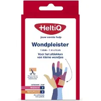 Heltiq Wondpleister 6 cm