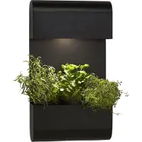 PR Home Wandlamp buiten Planta, zwart, metaal, Scandinavisch, Wandlamp buiten