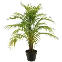 Coppens Areca palm in pot green 90cm |