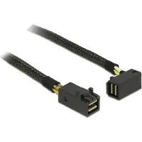 DeLOCK Mini SAS naar SAS kabel -