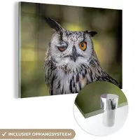 MuchoWow Glasschilderij 90x60 cm - Schilderij acrylglas - Uil - Oog - Oranje - Foto op glas - Schilderijen