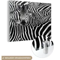MuchoWow Glasschilderij 80x60 cm - Schilderij acrylglas - Zebra zwart-wit fotoprint - Foto op glas - Schilderijen