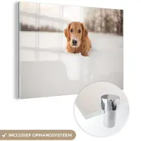 MuchoWow Glasschilderij 60x40 cm - Schilderij acrylglas - Hond - Sneeuw - Winter - Foto op glas - Schilderijen
