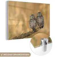 MuchoWow Glasschilderij 90x60 cm - Schilderij acrylglas - Uilen paar - Foto op glas - Schilderijen