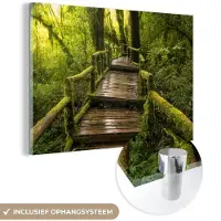 MuchoWow Glasschilderij 120x80 cm - Schilderij acrylglas - Mooi regenwoud en jungle - Foto op glas - Schilderijen