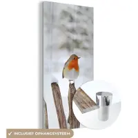 MuchoWow Glasschilderij 40x80 cm - Schilderij acrylglas - Vogel - Hek - Sneeuw - Foto op glas - Schilderijen