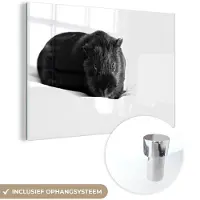 MuchoWow Glasschilderij 180x120 cm - Schilderij acrylglas - Zwarte cavia - zwart wit - Foto op glas - Schilderijen