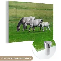 MuchoWow Glasschilderij 30x20 cm - Schilderij acrylglas - Paarden - Dieren - Gras - Foto op glas - Schilderijen