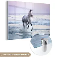 MuchoWow Glasschilderij 60x40 cm - Schilderij acrylglas - Paarden - Lucht - Zee - Foto op glas - Schilderijen