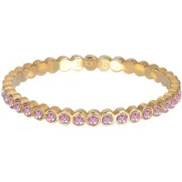 Ixxxi Vulring Small Circle Stone Pink