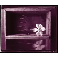 Konkurrent Rob Crow & Kramer - Hymns (7" Single)