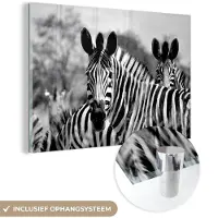 MuchoWow Glasschilderij 180x120 cm - Schilderij acrylglas - Zebra - Zwart - Wit - Dieren - Foto op glas - Schilderijen