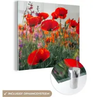 MuchoWow Glasschilderij 20x20 cm - Schilderij acrylglas - Klaproos - Bloemen - Rood - Paars - Weide - Foto op glas - Muurdecoratie woonkamer - Wanddecoratie slaapkamer - Schilderijen