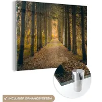 MuchoWow Glasschilderij 160x120 cm - Schilderij acrylglas - Pad - Bomen - Bos - Foto op glas - Schilderijen