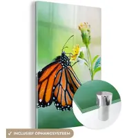MuchoWow Glasschilderij 120x180 cm - Schilderij acrylglas - Vlinder - Bloemen - Insecten - Foto op glas - Schilderijen