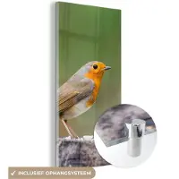 MuchoWow Glasschilderij 60x120 cm - Schilderij acrylglas - Dieren - Vogel - Roodborstje - Foto op glas - Schilderijen