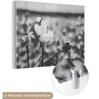 MuchoWow Glasschilderij 160x120 cm - Schilderij acrylglas - Katoen - Planten - Zwart - Wit - Foto op glas - Schilderijen