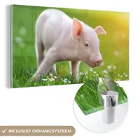 MuchoWow Glasschilderij 120x60 cm - Schilderij acrylglas - Dieren - Biggetje - Varken - Foto op glas - Schilderijen
