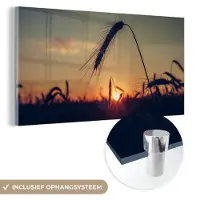 MuchoWow Glasschilderij 120x60 cm - Schilderij acrylglas - Gras - Herfst - Zonsondergang - Seizoenen - Landschap - Foto op glas - Schilderijen