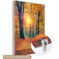 MuchoWow Glasschilderij 120x160 cm - Schilderij acrylglas - Bomen - Herfst - Bos - Herfstbladeren - Foto op glas - Schilderijen