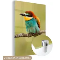 MuchoWow Glasschilderij 120x160 cm - Schilderij acrylglas - Vogel - Bijeneter - Dieren - Foto op glas - Schilderijen