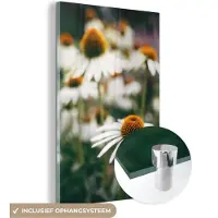 MuchoWow Glasschilderij 120x180 cm - Schilderij acrylglas - Bloemen - Herfst - Botanisch - Foto op glas - Schilderijen