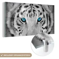 MuchoWow Glasschilderij 120x60 cm - Schilderij acrylglas - Tijger - Winter - Dieren - Foto op glas - Schilderijen
