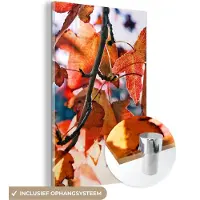 MuchoWow Glasschilderij 120x180 cm - Schilderij acrylglas - Esdoorn - Bladeren - Landelijk - Herfst - Foto op glas - Schilderijen