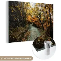 MuchoWow Glasschilderij 180x120 cm - Schilderij acrylglas - Bladeren - Herfst - Bos - Foto op glas - Schilderijen