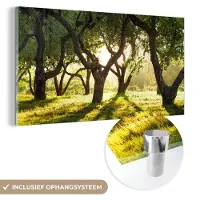 MuchoWow Glasschilderij 80x40 cm - Schilderij acrylglas - Bomen - Natuur - Zon - Foto op glas - Schilderijen