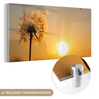 MuchoWow Glasschilderij 80x40 cm - Schilderij acrylglas - Paardenbloem - Zon - Zonsondergang - Foto op glas - Schilderijen