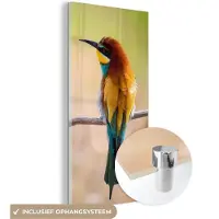 MuchoWow Glasschilderij 40x80 cm - Schilderij acrylglas - Vogels - Bijeneter - Dieren - Foto op glas - Schilderijen