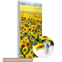 MuchoWow Glasschilderij 80x160 cm - Schilderij acrylglas - Zonnebloem - Bloemen - Natuur - Foto op glas - Schilderijen