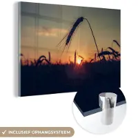 MuchoWow Glasschilderij 180x120 cm - Schilderij acrylglas - Gras - Herfst - Zonsondergang - Seizoenen - Landschap - Foto op glas - Schilderijen