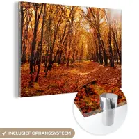 MuchoWow Glasschilderij 180x120 cm - Schilderij acrylglas - Herfst - Bos - Bladeren - Seizoenen - Foto op glas - Schilderijen