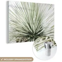 MuchoWow Glasschilderij 180x120 cm - Schilderij acrylglas - Groen - Bladeren - Natuur - Foto op glas - Muurdecoratie woonkamer - Wanddecoratie slaapkamer - Schilderijen