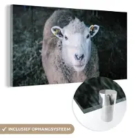 MuchoWow Glasschilderij 80x40 cm - Schilderij acrylglas - Schaap - Dieren - Vee - Foto op glas - Schilderijen