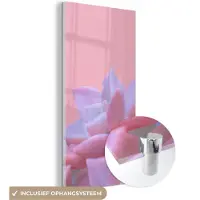 MuchoWow Glasschilderij 80x160 cm - Schilderij acrylglas - Vetplant - Zomer - Roze - Planten - Foto op glas - Schilderijen