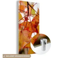 MuchoWow Glasschilderij 40x80 cm - Schilderij acrylglas - Herfsttakken - Bladeren - Seizoenen - Landelijk - Foto op glas - Schilderijen