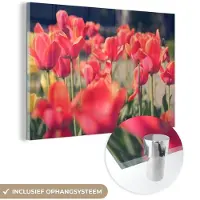 MuchoWow Glasschilderij 30x20 cm - Schilderij acrylglas - Tulpen - Bloemen - Natuur - Foto op glas - Schilderijen