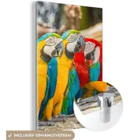 MuchoWow Glasschilderij 20x30 cm - Schilderij acrylglas - Vogels - Papegaai - Tropisch - Natuur - Foto op glas - Schilderijen