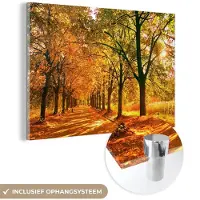 MuchoWow Glasschilderij 30x20 cm - Schilderij acrylglas - Bos - Herfst - Seizoenen - Landelijk - Foto op glas - Schilderijen