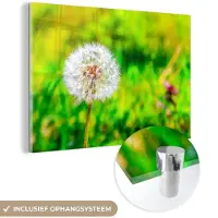 MuchoWow Glasschilderij 30x20 cm - Schilderij acrylglas - Paardenbloem - Grasveld - Bloem - Foto op glas - Schilderijen